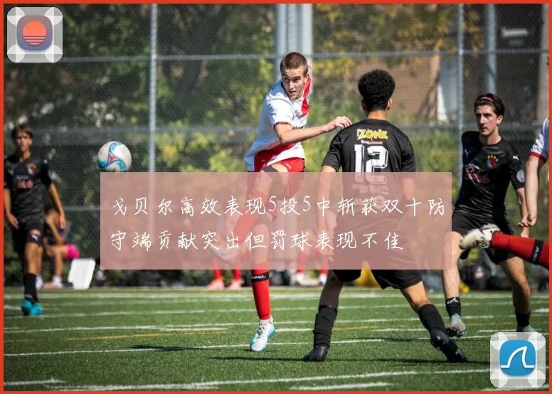 戈贝尔高效表现5投5中斩获双十防守端贡献突出但罚球表现不佳