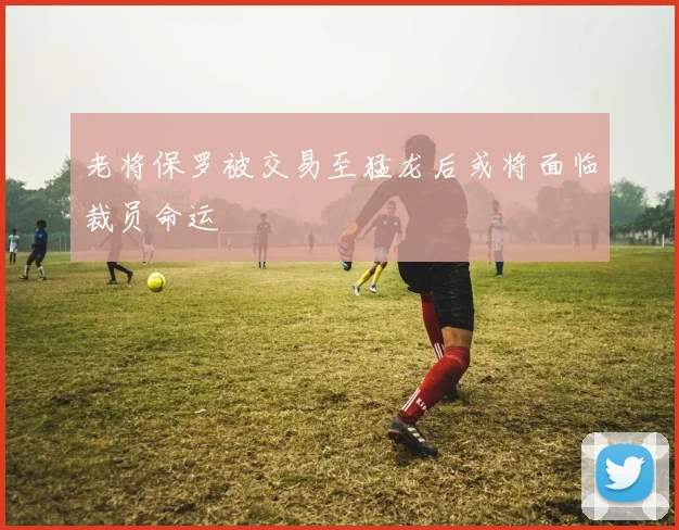 老将保罗被交易至猛龙后或将面临裁员命运